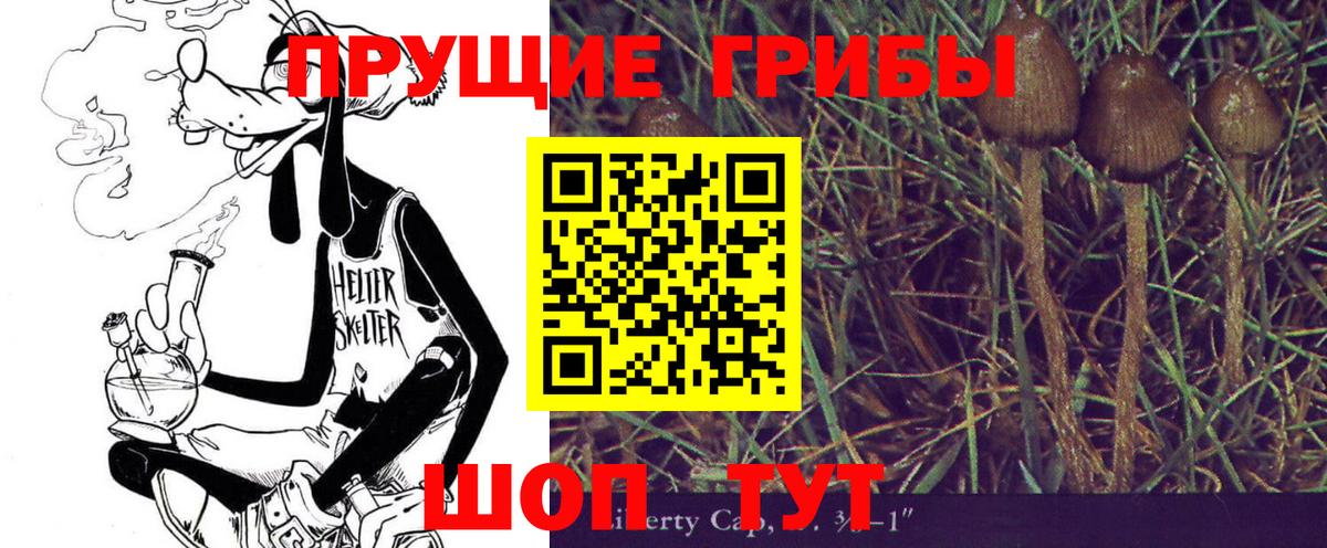 Тавда  Псилоцибиновые грибы мухоморы  Вход с VPN 
