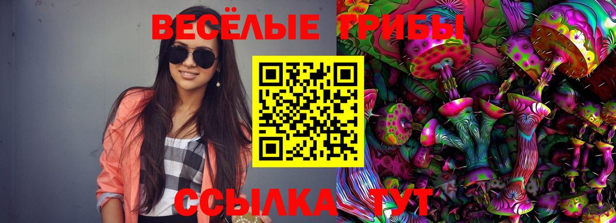 Псилоцибиновые грибы ЛСД Тавда